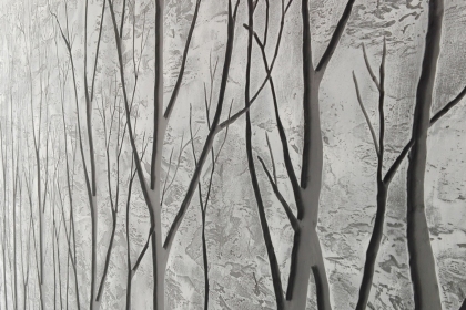 IMG_20160506_163841-1