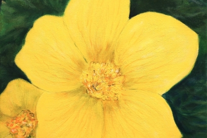 zA40C0012s